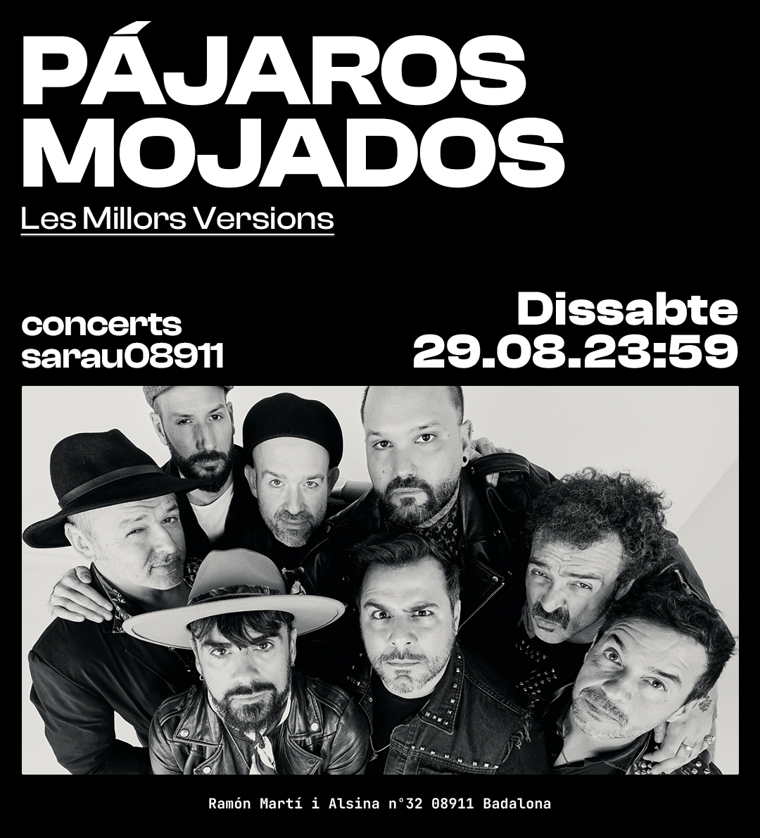 Pájaros Mojados